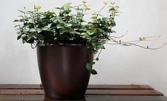 FRP Pot-1.jpg