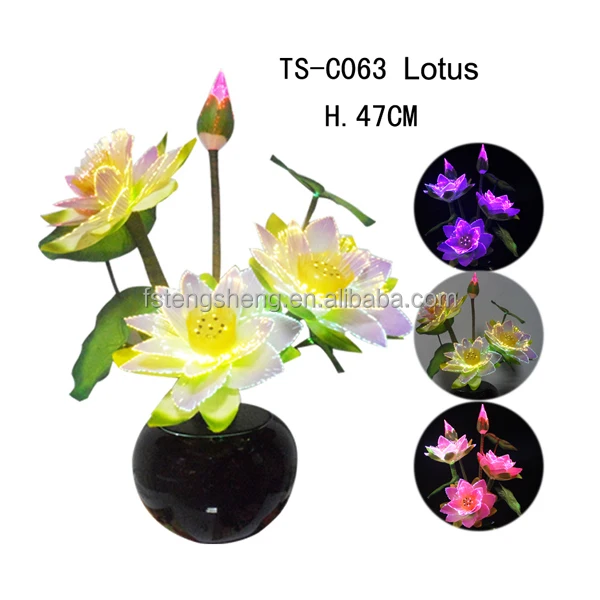 TS-C063 LOTUS.jpg