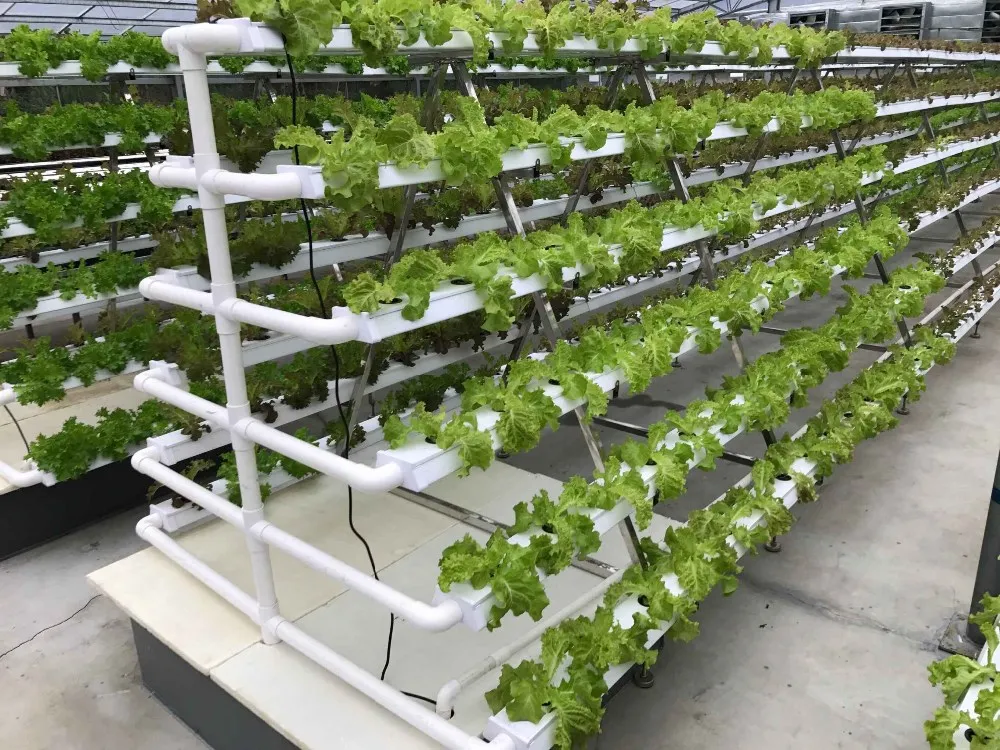 Hot Sale A Type Vertical Nft Hydroponic System For Lettuce Buy