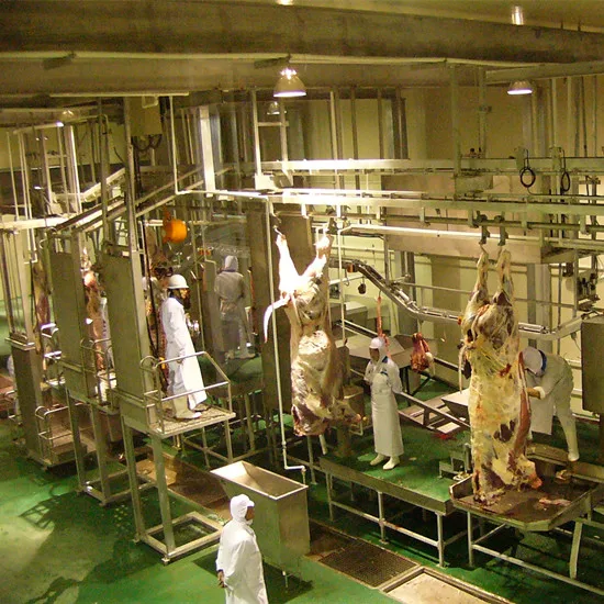 Islamic buffalo meat cutting machine for cattle slaughtering slaughterhouse