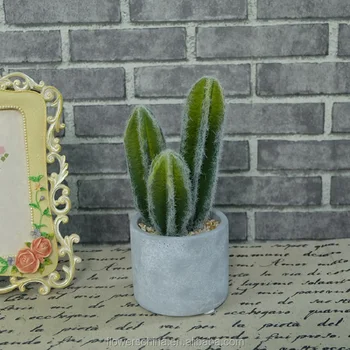 Get Sob as decoracoes de viveiro mar Desktop Wallpaper