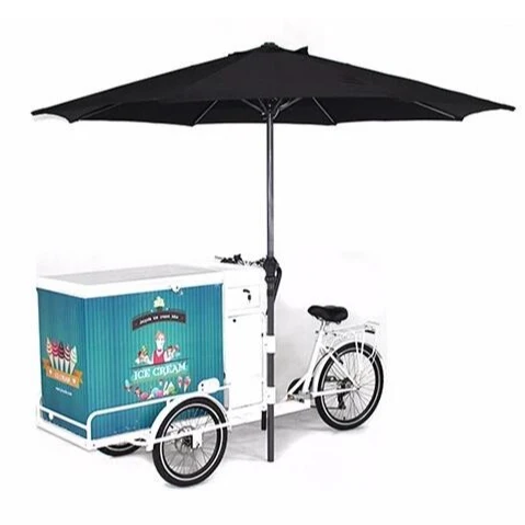 

Mobile Street Food Bike with Freezer Snack Hot Dog Cargo Tricycle Ice Cream Vending Cart for Sale Europe