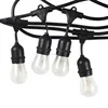 feston lighting 48ft 110v waterproof outdoor globe string lights with e26/e27 hanging socket for farm