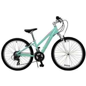 Schwinn lotus 20 sale