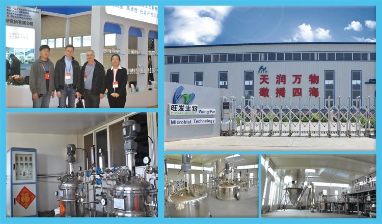 Natural Pond Fertilizer keeps water clear for a longer period