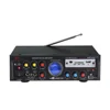 Hot sale Home Karaoke digital amplifier with USB/SD/FM/ECHO/MIC
