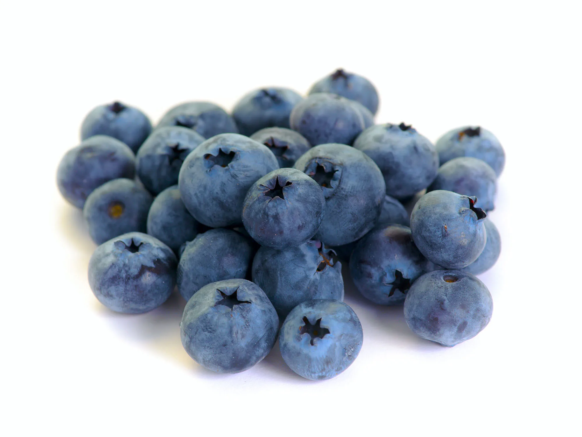 Manufacture Supply Natural European Bilberry Extract 25% Anthocyanidins