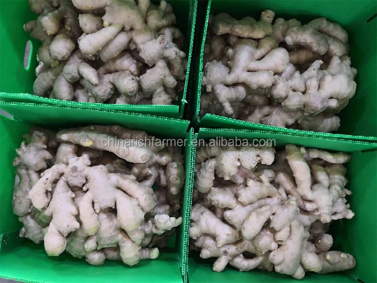 Chinese Fresh Organic Dried Ginger Root 10kg Box For Peru Buy Dried