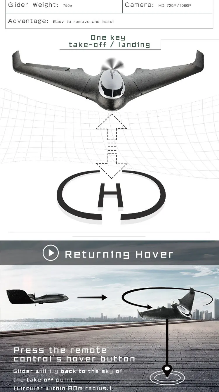 rc glider with camera