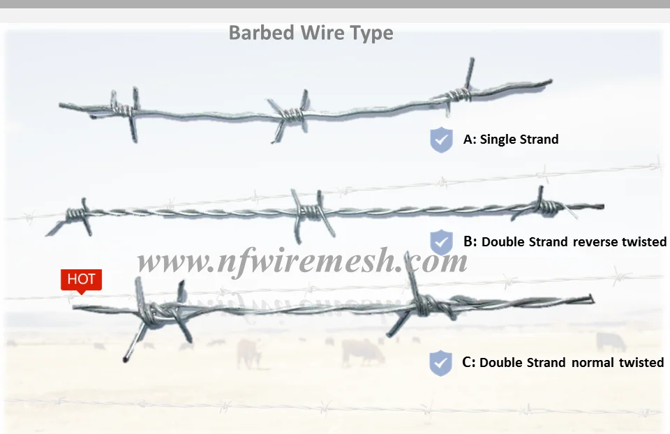 Barb Wire Price Per Roll/galvanized Barbed Wire Farm Fence(guangzhou