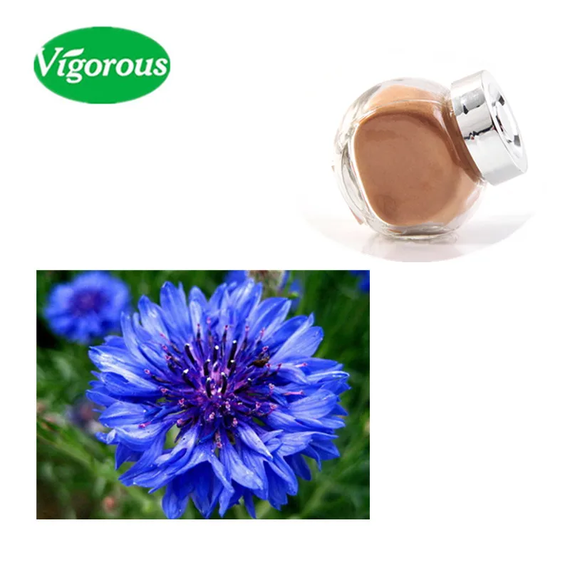 Hot Sales Iso Manufacturer Supply Centaurea Cyanus Cornflower Extract