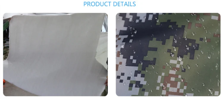 6158590141_1611533842