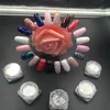 Made In China Color Nail DIY Laser Maggic Mirror And Transparent Chameleon Pigments/Flakes