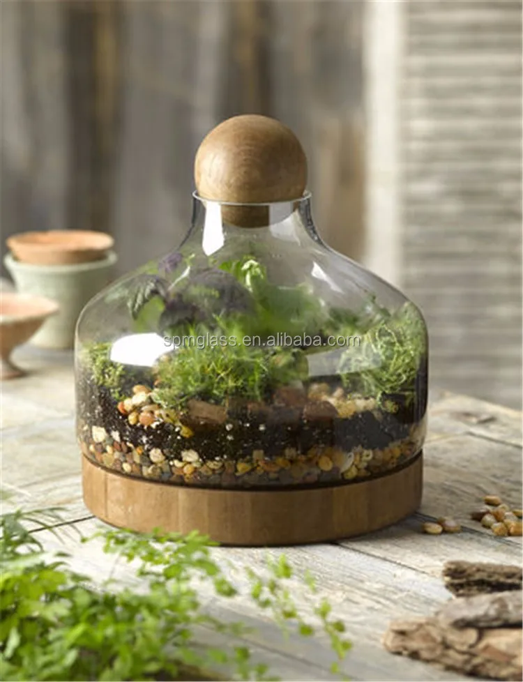 Garden Wholesale Vase Clear Glass Terrarium Plants With Wooden Base And Wooden Ball Top Buy