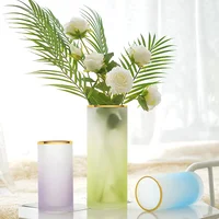 

Hand Blown Wedding Decoration Cylinder Restaurant Table Flower Tall Frosted Color Glass Vases