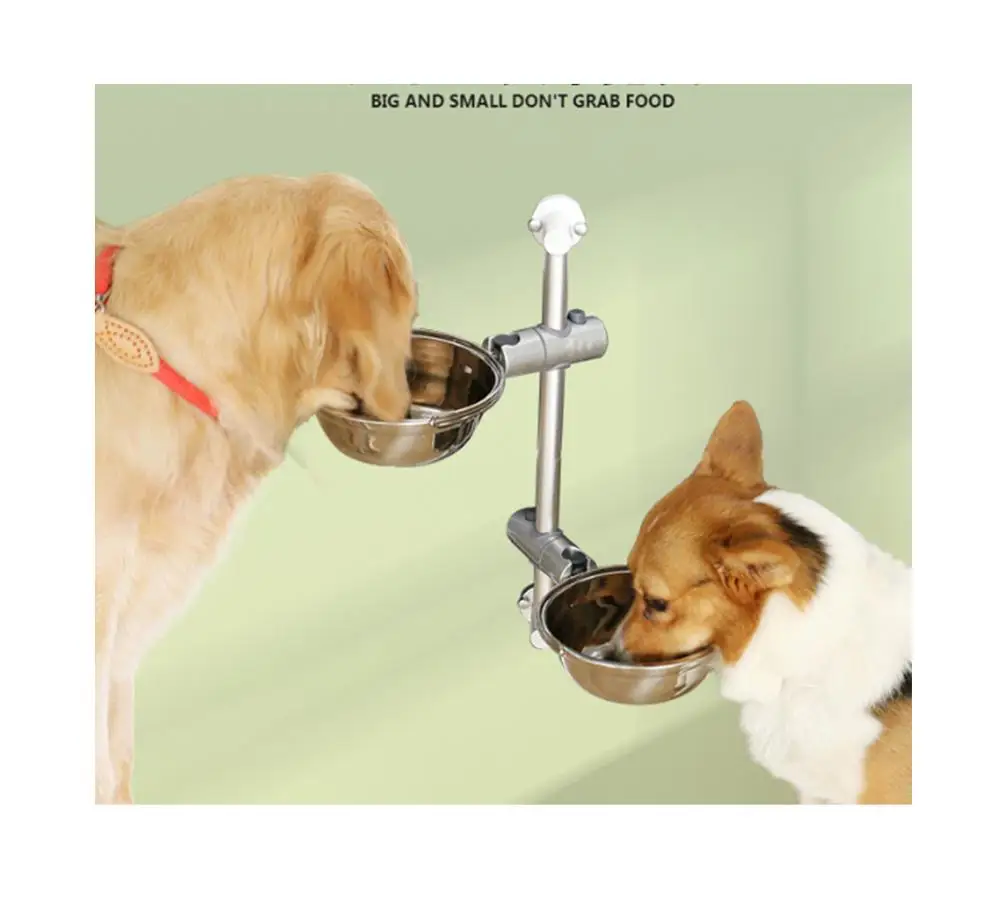 dog food feeder