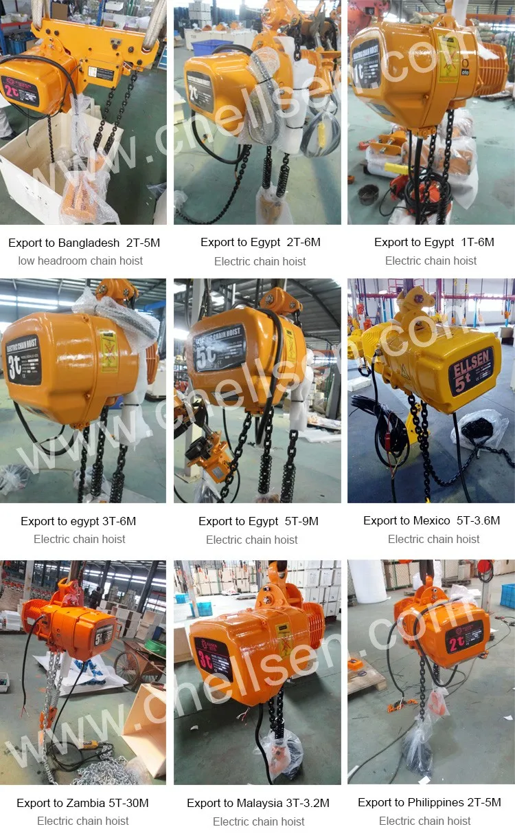 cases of electric chain hoist-1.jpg