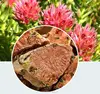 Raw orginal herb rhodiola root tea benefits for anxiety and depression