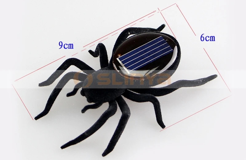 Solar spiders 8032 150108 (11).jpg
