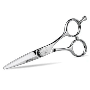 Classic Symmetrical Handle Designed Hair Cutting Scissor DO-55 High Quality Hairdressing Scissor