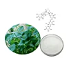 /product-detail/pure-centella-asiatica-extract-gotu-kola-20-70-and-90-asiaticoside-1084302267.html