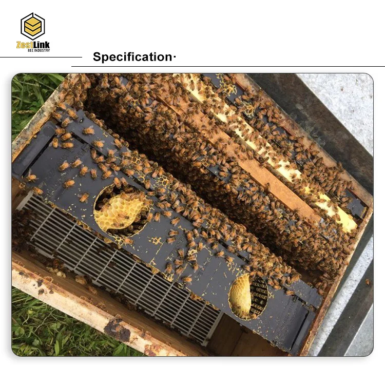 Low Price For Beekeeping Food Grade Frame Feeder Plastic Buy