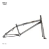 RAYMAX BICYCLE FRAME 20 INCH Bmx Parts