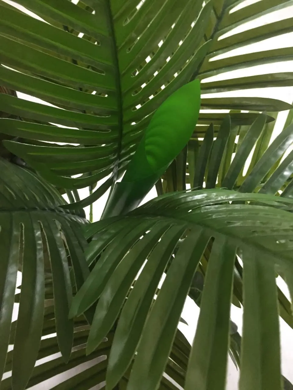 Real Touch Gluing Process Tall Emanemtree Tropical Ornamental Plants