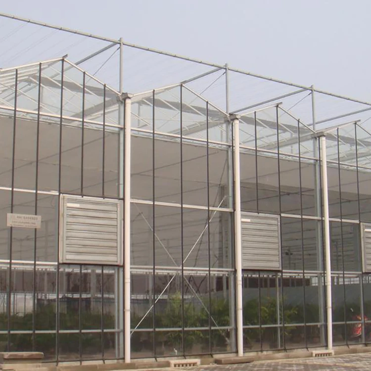 greenhouse plastic film agriculture