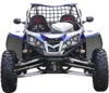 1100CC 4x4 buggy adult pedal Dune buggy 1100cc 4x4 (TKG1100-1)