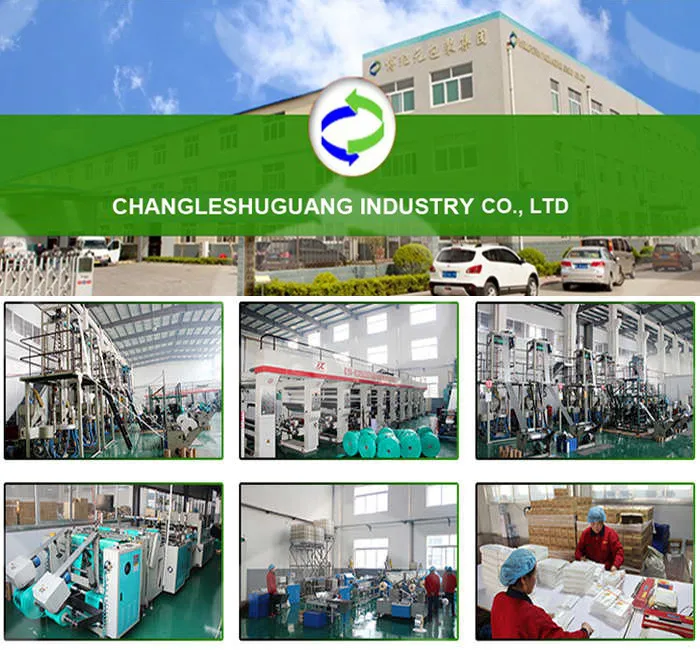 Company Information