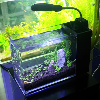 Clear And Unique Acrylic Fish Tank - Buy Acrylic Fish Tank ...