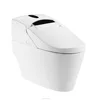 Sanitary Ware Hot and Cold Water Cleaning Smart Toilet ZJS-02