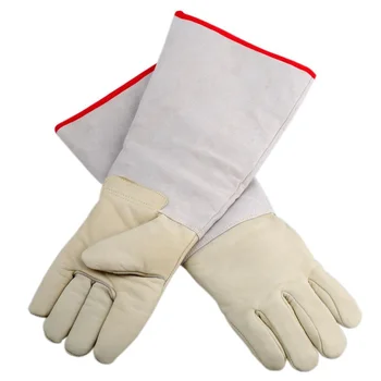 ln2 gloves