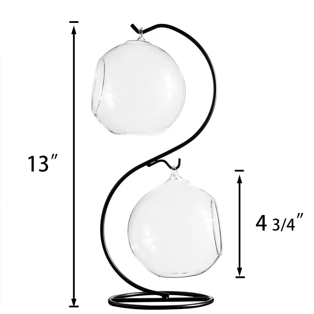 Clear Glass Vase Hanging Plant Terrarium With Black Metal Stand For Air