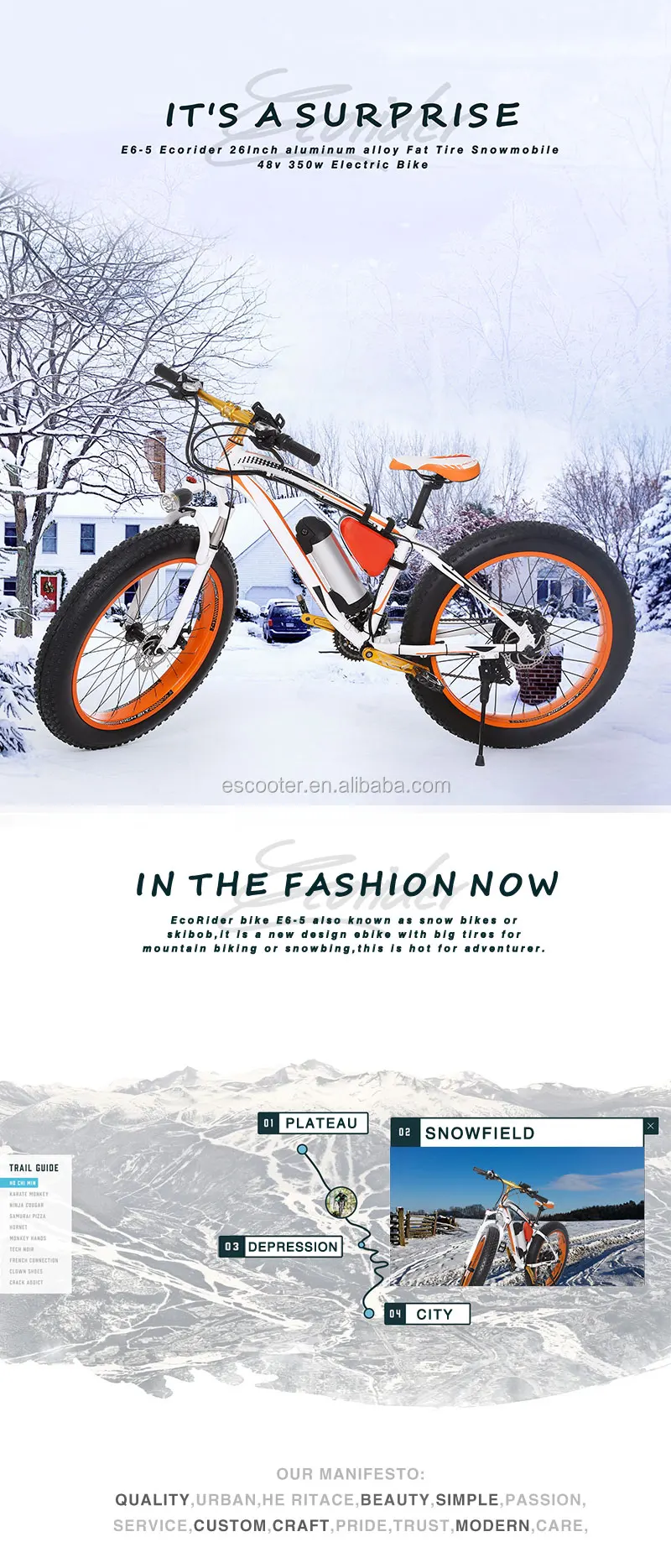 Adventurer Electric Bike | Bike Pic