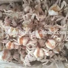 otak otak sea food 3 spot frozen soft shell crab