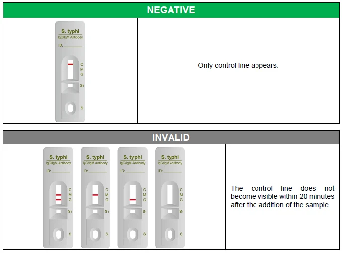 Rapid Salmonella Typhi Antibody Test Buy Antibody Test,Salmonella
