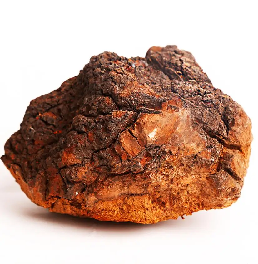
Top superfood chaga tea help in fight against cancer 