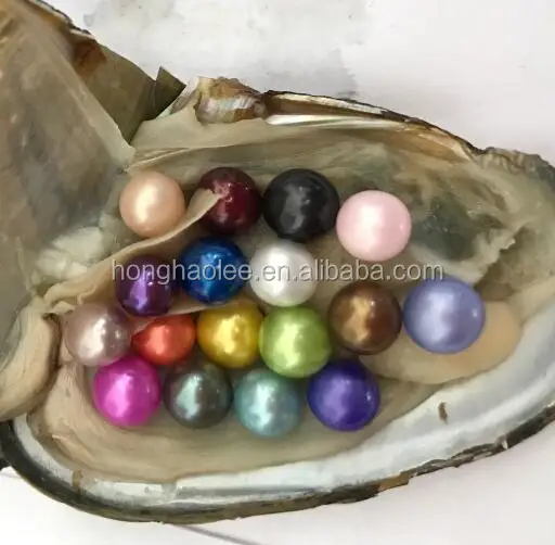 

AAAAA vacuum packed oysters round pearl oysters twins pearls oysters 2 pearls in 1oyster stock natural colours dyed colors