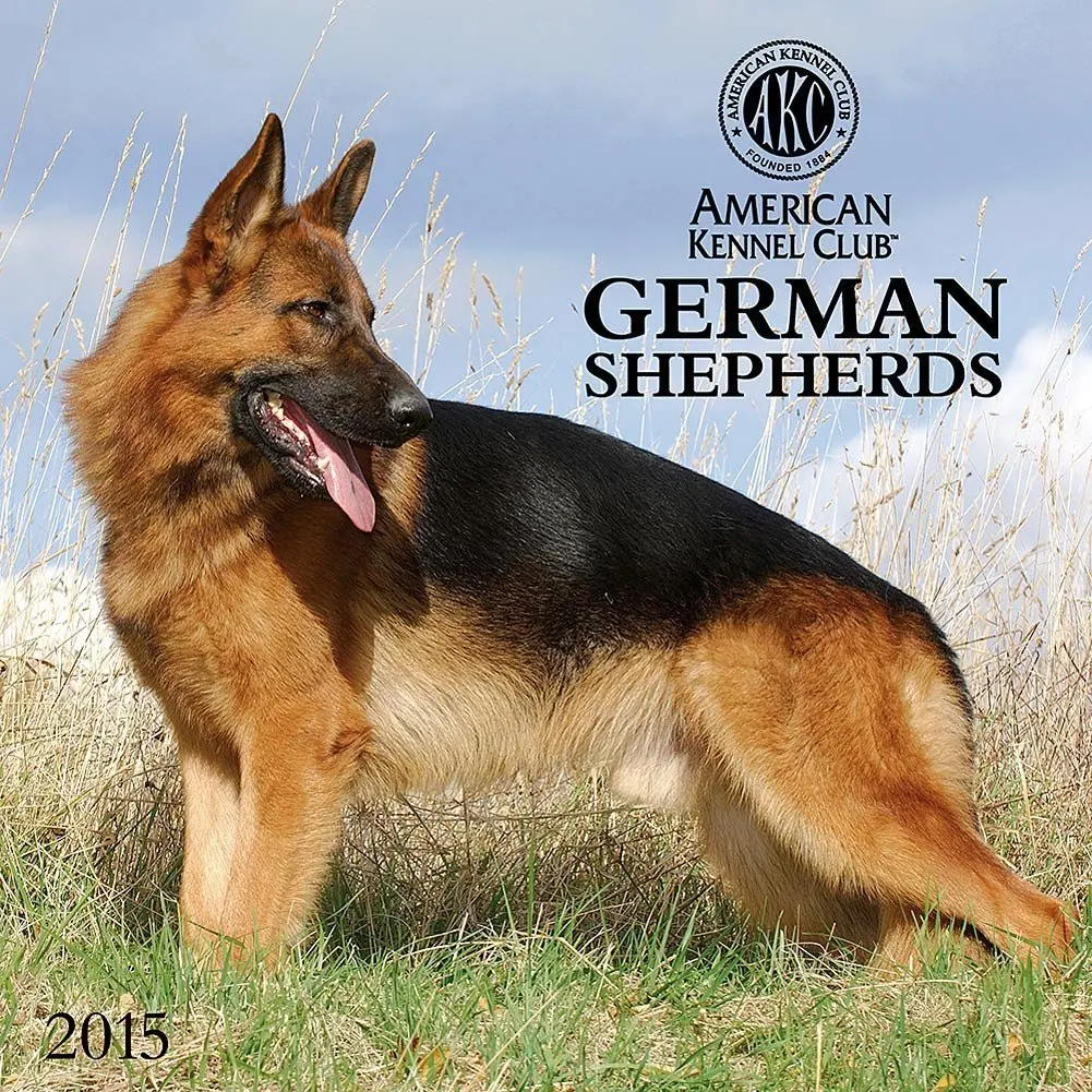 american kennel club german shepherd