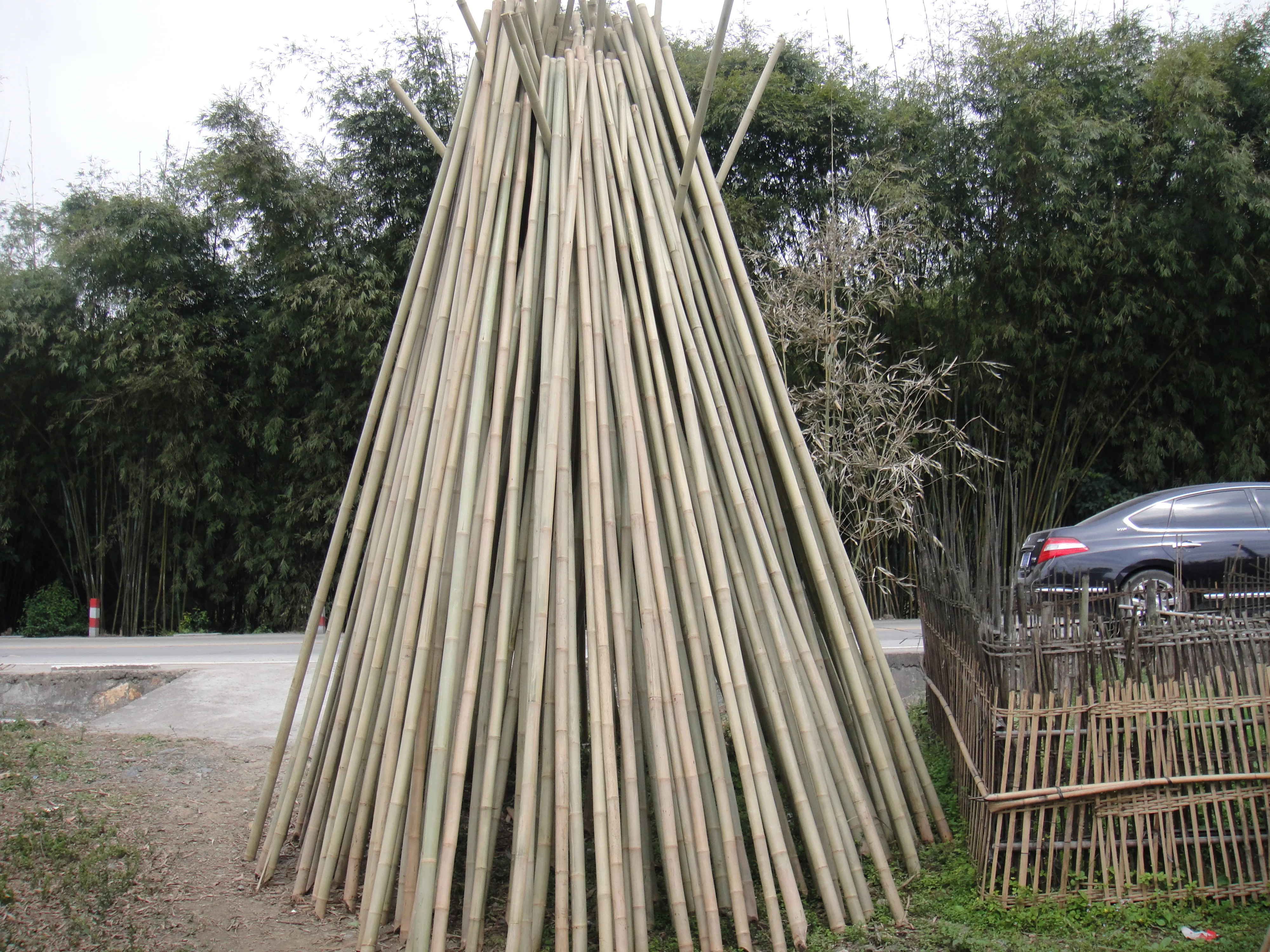 
Bamboo Raw Materials / Bamboo pole 