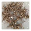 China tree root for sale bare stump 99% survive