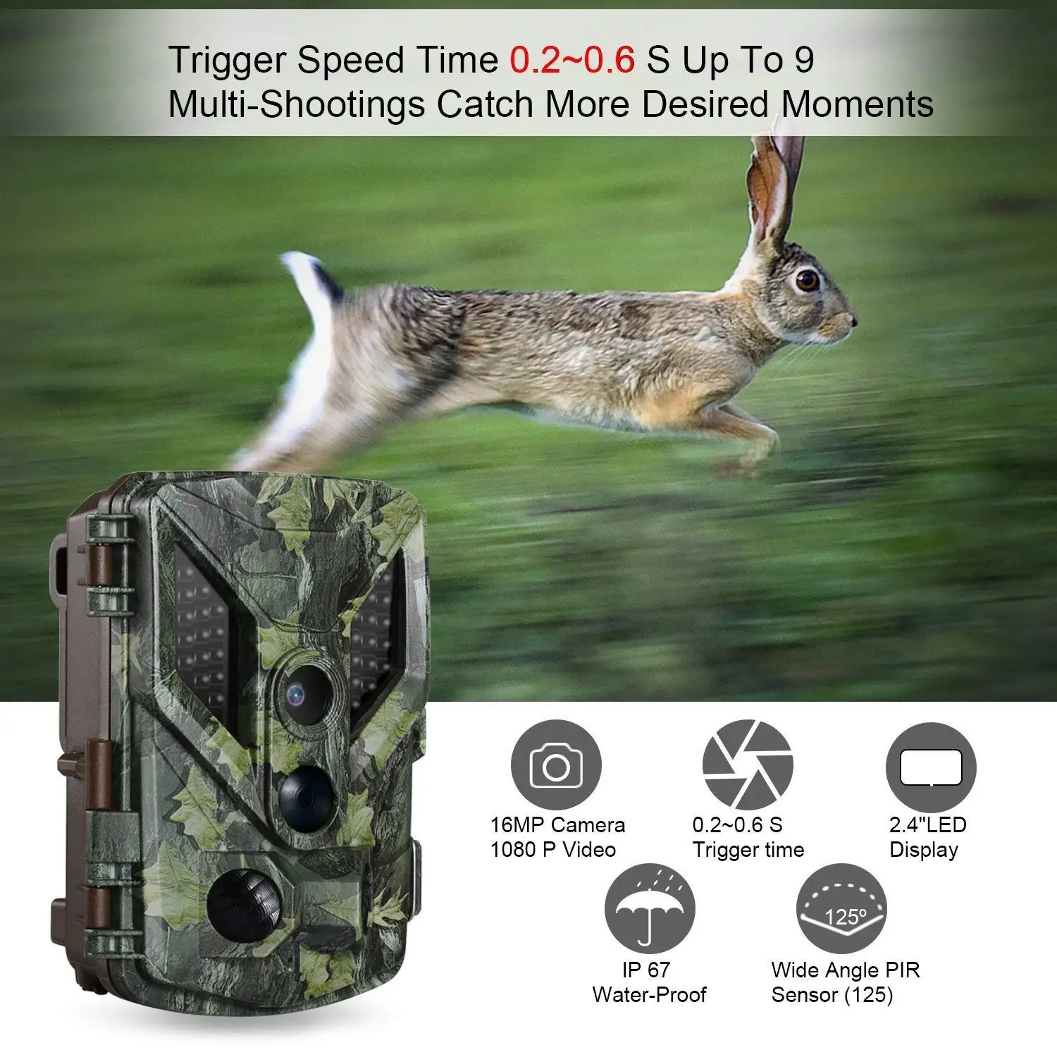 hunting Camera.jpg