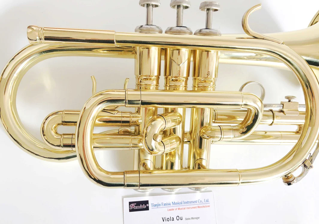 Gold Lacquer Body Buy Gold Lacquer Instrument Product on