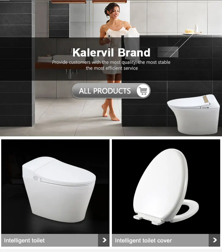Electric remote control bidet intelligent bidet sprayer set smart toilet seat cover