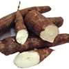 cassava/potato/corn/wheat starch ethanol fermentation molasses/sugarcane alcohol ethanol fermentor production