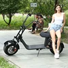 Hot sale good quality electric scooter 1600v 48v foldable EVO electric Scooter with CE