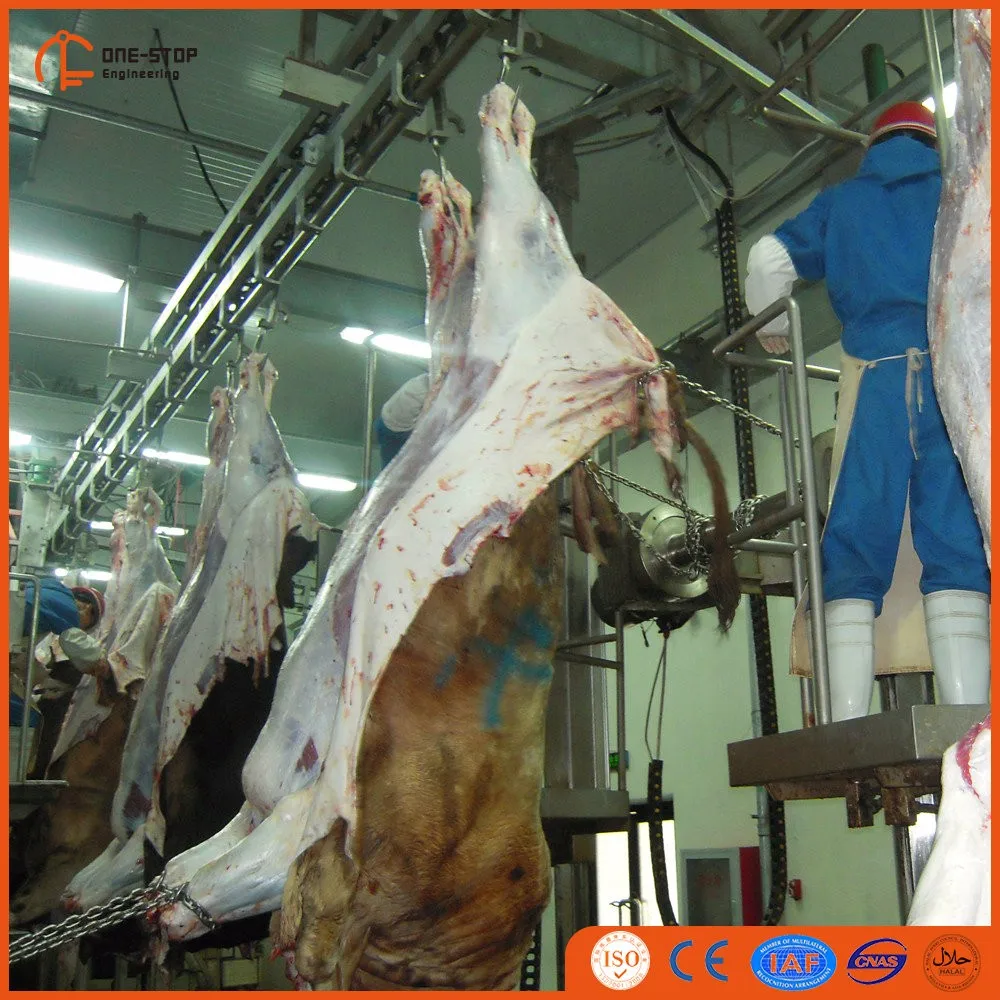 modern_halal_approved_cow_slaughter_house_with_turnkey_project