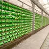 NFT indoor PVC hydroponics kit growing system